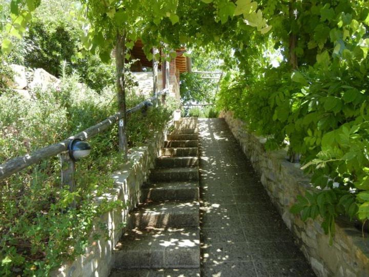 בית הארחה בארברינו די ואל ד'אלסה 	Fattoria Casa Sola מראה חיצוני תמונה